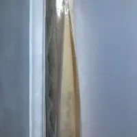 پارچه بک گراند عکاسی|دوربین عکاسی و فیلم‌برداری|تهران, سنگلج (شاپور)|دیوار