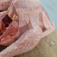 گوشت مرغ خیلی محلی|خوردنی و آشامیدنی|یزد, |دیوار
