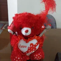 عروسک سخنگو|اسباببازی|ورامین, شهرک ولیعصر|دیوار