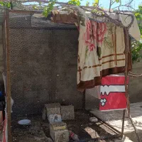 قفس بزرگ سالم سالم