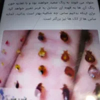 سم پاشی منازل و کارگاه های صنعتی و دام و طیور