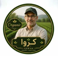 کار نیمه وقت