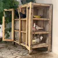 قفس چوبی جفت کن