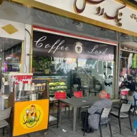 همکاری در ابمیوه بستنی