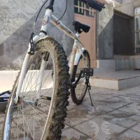 دوچرخه دماوند|دوچرخه، اسکیت، اسکوتر|تربت جام, جامرود|دیوار