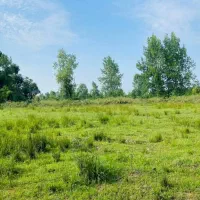 فروش زمین برا گردشگری با ۳۰میلیارد وام|فروش زمین و ملک کلنگی|شفت, |دیوار