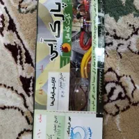 بلیت استخر گوت کمال تمام بها