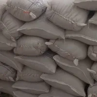 جودوپردیمی
