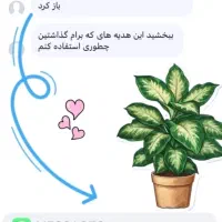 قرص کود|گل و گیاه طبیعی|رشت, پل تالشان|دیوار