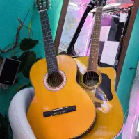 دو عدد گیتار تمیز در حد نو اکوستیک و کلاسیک