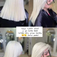 استخدام دستیار رنگ و لایت