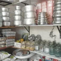 پلاسکو بیات