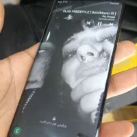 S8 Plas+|موبایل|بندرعباس, |دیوار
