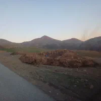 کود حیوانی