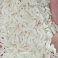 برنج هاشمی استانه درجه ۱|عمده‌فروشی|تهران, تهرانپارس جنوبی|دیوار