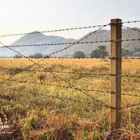 فنس کشی ،سیم خاردار،شاب،انواع درب بزرگ|خدمات باغبانی و درختکاری|دزفول, |دیوار