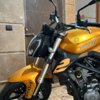 متور بنلی طلایی جفت 250 cبه بالا