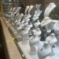 همکار خانم برای طلافروشی