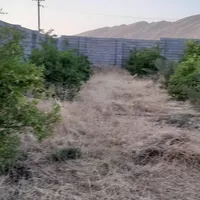 فروش زمین ۸۰۰ متری|فروش زمین و ملک کلنگی|کازرون, |دیوار