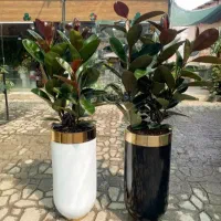 خدمات باغبانی گل کاری درخت کاری و هرس کاری و..|خدمات باغبانی و درختکاری|تهران, نیروی هوایی (پیروزی)|دیوار