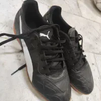 کفش فوتسال سالنی