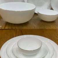 آرکوپال گلدن اوپال|ظروف سرو و پذیرایی|قم, باغ شریفی|دیوار