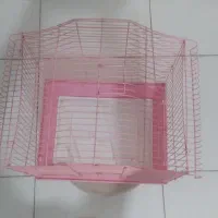 قفس برای طوطی|لوازم جانبی حیوانات|سنندج, |دیوار