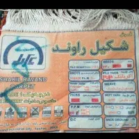 فرش تمیز در حد|فرش|بندر انزلی, پاسداران|دیوار