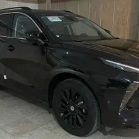 لاماری 1404خشک