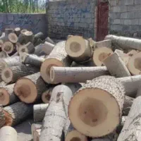 خرید انواع چوب|خدمات باغبانی و درختکاری|باسمنج, |دیوار