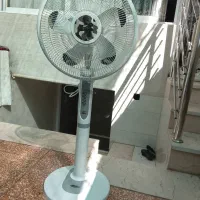 پنکه مارک ارشیا