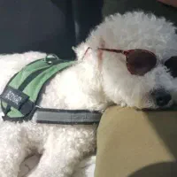 پانسیون هاپوکومار