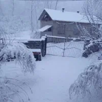 اجاره-خانه-جنگلی