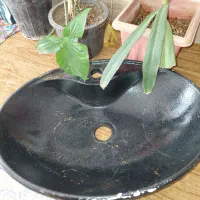روشویی مدرن