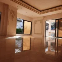 کفسابی نماشویی سگسابی رول پلاک