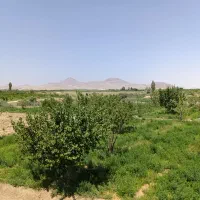 باغ و باغچه روستای حصار حاجیلار ( کشتیبان)|فروش خانه و ویلا|ارومیه, |دیوار