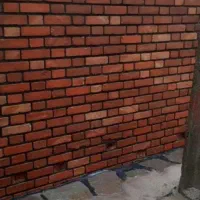 کفسابی و نماشویی|خدمات نظافت|یزد, |دیوار