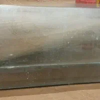 آکواریوم تلویزیونی