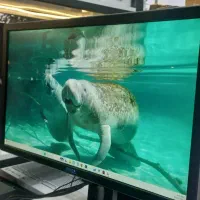 مانیتور 22 اینچ برند DELL|قطعات و لوازم جانبی رایانه|کرج, اصفهانی‌ها|دیوار