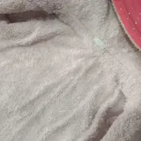 کاپشن یا پلیور  پشمی دخترونه سالم ۲تا ۴سال|کفش و لباس بچه|کرمانشاه, |دیوار