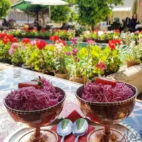 تورگروهی شیراز
