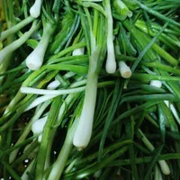 سبزی پاک شده وشسته شده|خوردنی و آشامیدنی|کرج, آق تپه|دیوار