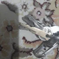 پیدا شده