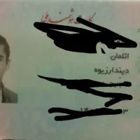 کارت ملی پیداشده