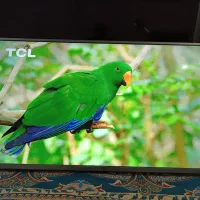 الیدی الجی کره ای 43 انیج دیجیتال داخلی فلشخور|تلویزیون و پروژکتور|تبریز, |دیوار