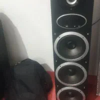 باند خانگی