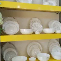 سرویس ظرف آرکوپال وارداتی