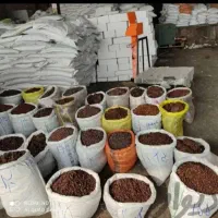 پخش کشمش افتابی سایه خشک مویز شیره خرما شیره انگور