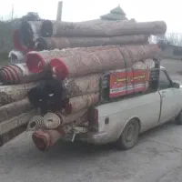 قالیشویی رویال|خدمات نظافت|آستانه اشرفیه, |دیوار