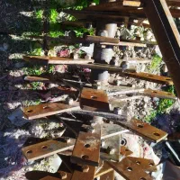 کاهکوب جاندیر